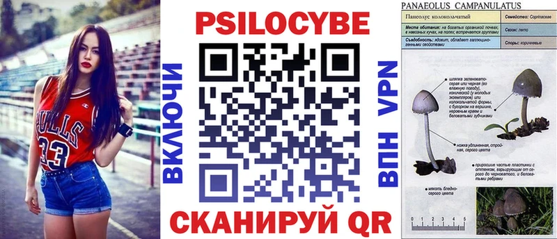 Галлюциногенные грибы Psilocybe  купить   Краснокамск 