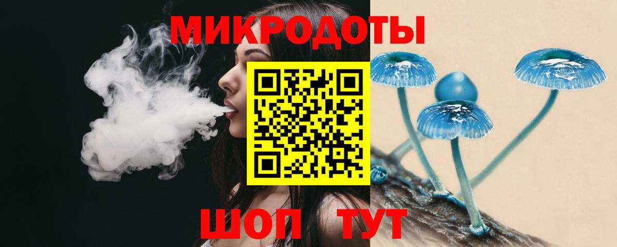 Галлюциногенные грибы Cubensis Краснокамск